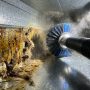 Remove toxic thirdhand smoke and heavy nicotine tar from your HVAC system. Learn how source-removal duct cleaning completely neutralizes stale cigarette stench.